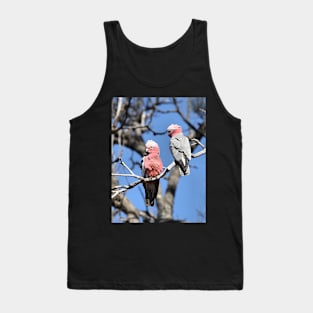 Australian Galahs Tank Top